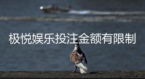 极悦娱乐投注金额有限制吗？平台限额规定与玩法解析
