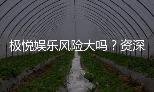极悦娱乐风险大吗？资深玩家解析平台安全性与赢钱技巧