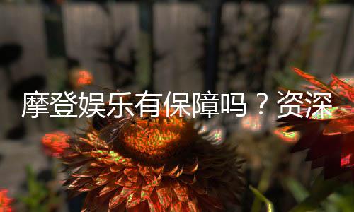 摩登娱乐有保障吗？资深玩家解析平台安全与可靠性