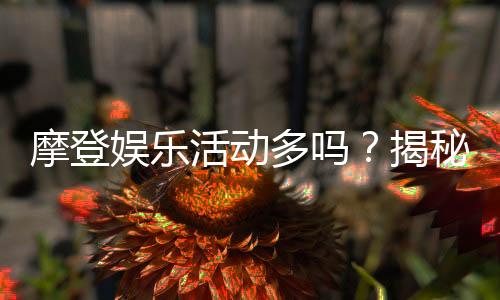 摩登娱乐活动多吗？揭秘平台特色玩法与福利活动