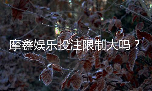 摩鑫娱乐投注限制大吗？深度解析平台规则与玩家体验