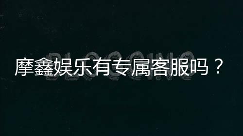 摩鑫娱乐有专属客服吗?平台客服体验深度解析