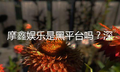 摩鑫娱乐是黑平台吗？深度解析其真实性与玩家体验