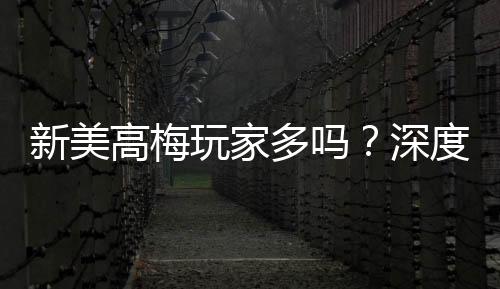 新美高梅玩家多吗?深度解析平台人气与玩家体验