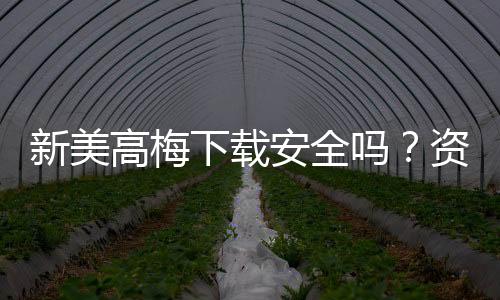 新美高梅下载安全吗?资深玩家实测解析平台安全性