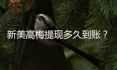新美高梅提现多久到账？到账时间及流程详解