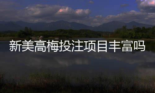 新美高梅投注项目丰富吗？深度解析其多元游戏布局与特色玩法