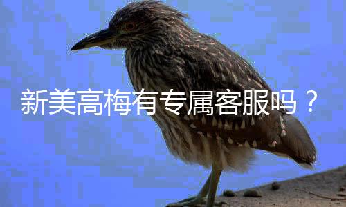 新美高梅有专属客服吗?为您揭秘VIP服务与专属客服详情