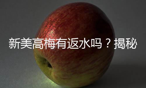 新美高梅有返水吗?揭秘返水优惠与独家福利