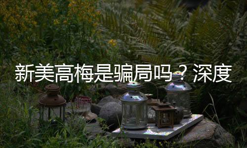 新美高梅是骗局吗?深度解析其信誉与玩家真实体验