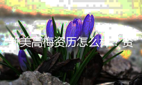 新美高梅资历怎么样？资深玩家带你揭秘其真实实力