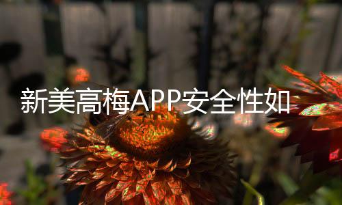 新美高梅APP安全性如何?深度解析其资金保障与数据防护