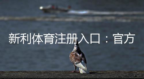 新利体育注册入口:官方注册步骤与新手快速上手教程