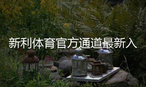 新利体育官方通道最新入口与登录方法:安全访问、常见问题与新手指南