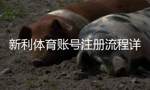 新利体育账号注册流程详解:新手快速完成开户与实名认证