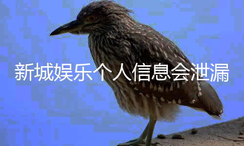 新城娱乐个人信息会泄漏吗?深度解析平台安全防护措施