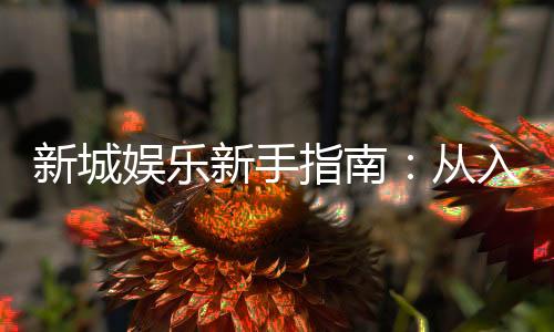 新城娱乐新手指南：从入门到精通的实战技巧