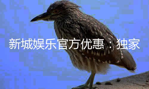 新城娱乐官方优惠：独家福利与高额返水等你来拿