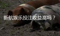 新航娱乐投注收益高吗？资深玩家揭秘真实盈利策略