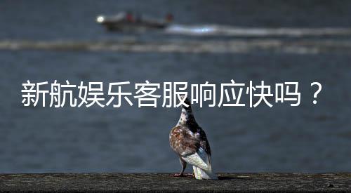 新航娱乐客服响应快吗？实测体验与高效服务解析