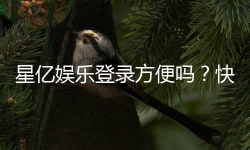星亿娱乐登录方便吗?快速注册与流畅体验全解析