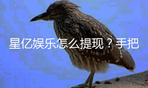 星亿娱乐怎么提现？手把手教你快速到账技巧