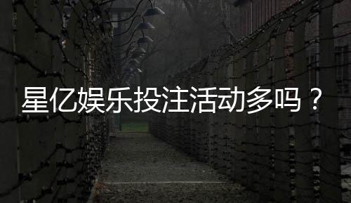 星亿娱乐投注活动多吗?资深玩家揭秘平台特色与优惠力度
