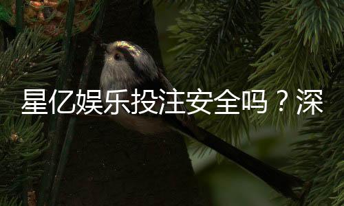 星亿娱乐投注安全吗？深度解析平台资质与玩家真实体验