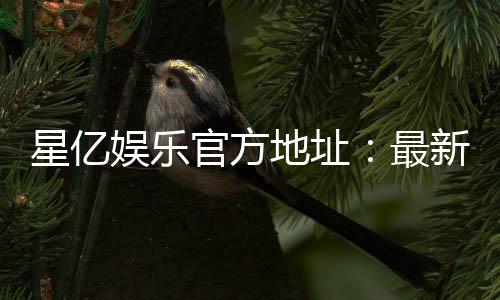 星亿娱乐官方地址：最新官网入口与安全登录指南