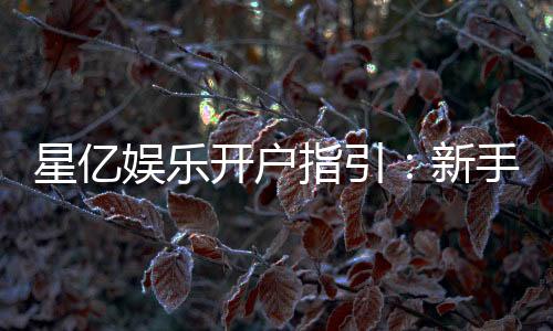 星亿娱乐开户指引:新手必看的快速注册与首存攻略