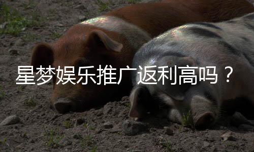 星梦娱乐推广返利高吗？真实玩家解析返利规则与到账速度