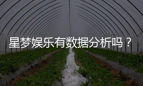 星梦娱乐有数据分析吗？深度解析其数据监测与玩家体验优化