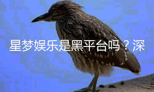 星梦娱乐是黑平台吗？深度解析其信誉与玩家真实体验