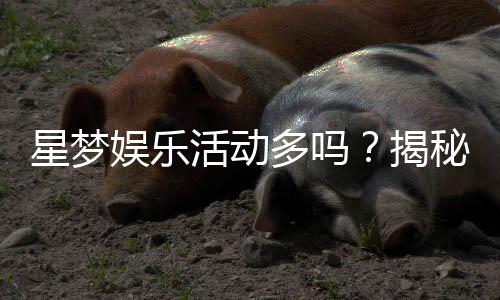 星梦娱乐活动多吗？揭秘平台丰富玩法与独家优惠