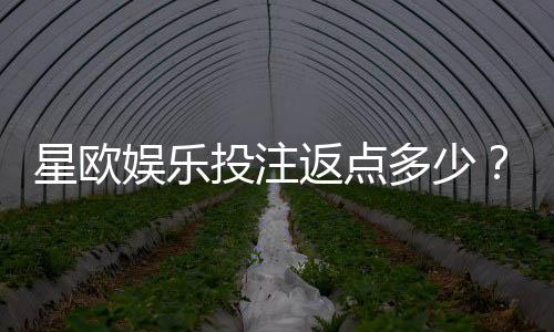 星欧娱乐投注返点多少?揭秘高返水福利与实战技巧