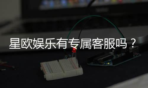 星欧娱乐有专属客服吗？一对一服务体验详解
