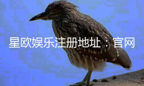 星欧娱乐注册地址：官网最新注册链接与安全登录指南