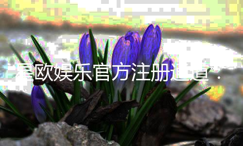 星欧娱乐官方注册通道：快速开户与首存优惠详解