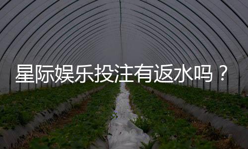 星际娱乐投注有返水吗？揭秘平台返水政策与实战技巧