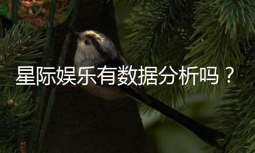 星际娱乐有数据分析吗？深度解析其数据统计与预测功能