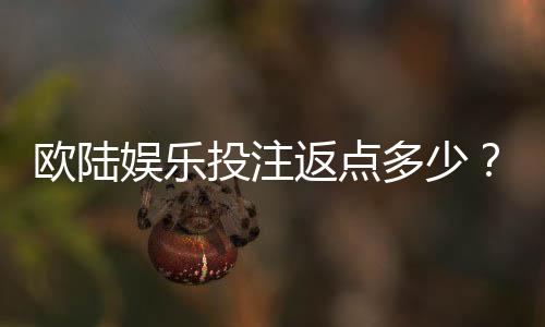 欧陆娱乐投注返点多少?揭秘高返点活动与实战技巧