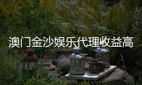 澳门金沙娱乐代理收益高吗？揭秘高收益背后的真相与策略