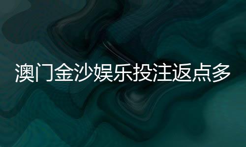 澳门金沙娱乐投注返点多少？揭秘高返水攻略与独家优惠