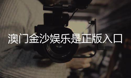 澳门金沙娱乐是正版入口吗？揭秘官网认证与安全游戏指南