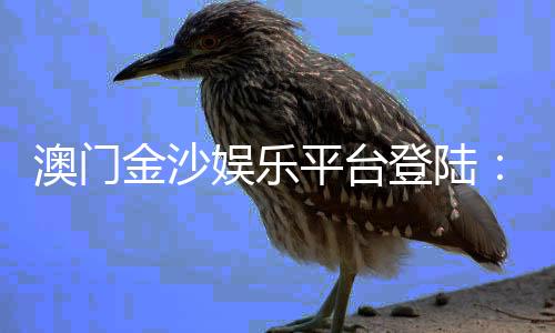 澳门金沙娱乐平台登陆：畅享豪华博彩体验与独家优惠