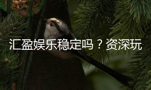 汇盈娱乐稳定吗？资深玩家解析平台安全性与游戏体验