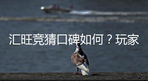 汇旺竞猜口碑如何？玩家真实体验与评价解析