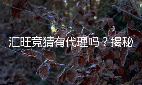 汇旺竞猜有代理吗?揭秘代理加盟条件与流程
