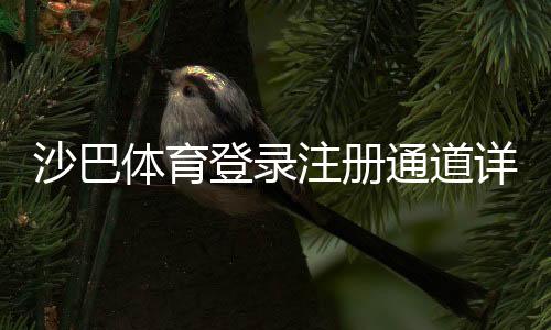 沙巴体育登录注册通道详解：新手快速完成注册与登录全流程教程