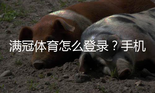 满冠体育怎么登录？手机与网页版详细步骤及常见登录问题解决